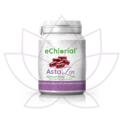 AstaZen: Astaxanthin + CBD (30 kapslar)